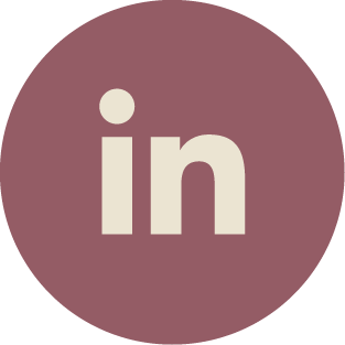linkedin-icon